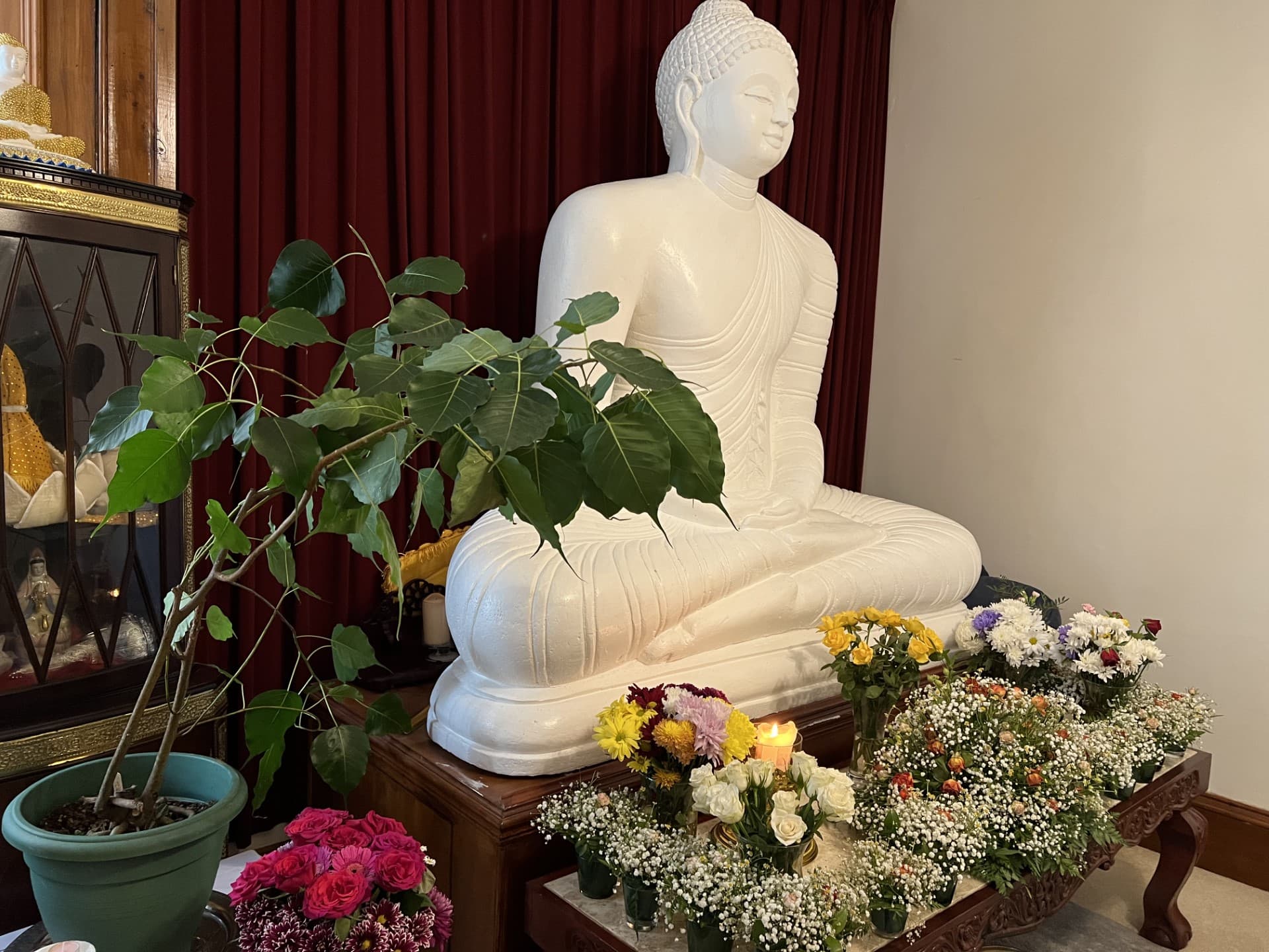 Meditation at the Vihara